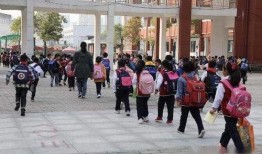 开封小学爆料案件最新,真相揭开，正义终将到来